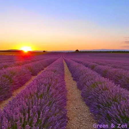 Appartamento La Grange Au Coeur De La Provence Le Chaffaut-Saint-Jurson