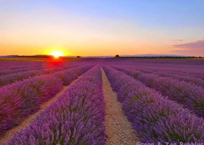 Apartment La Grange Au Coeur De La Provence Le Chaffaut-Saint-Jurson